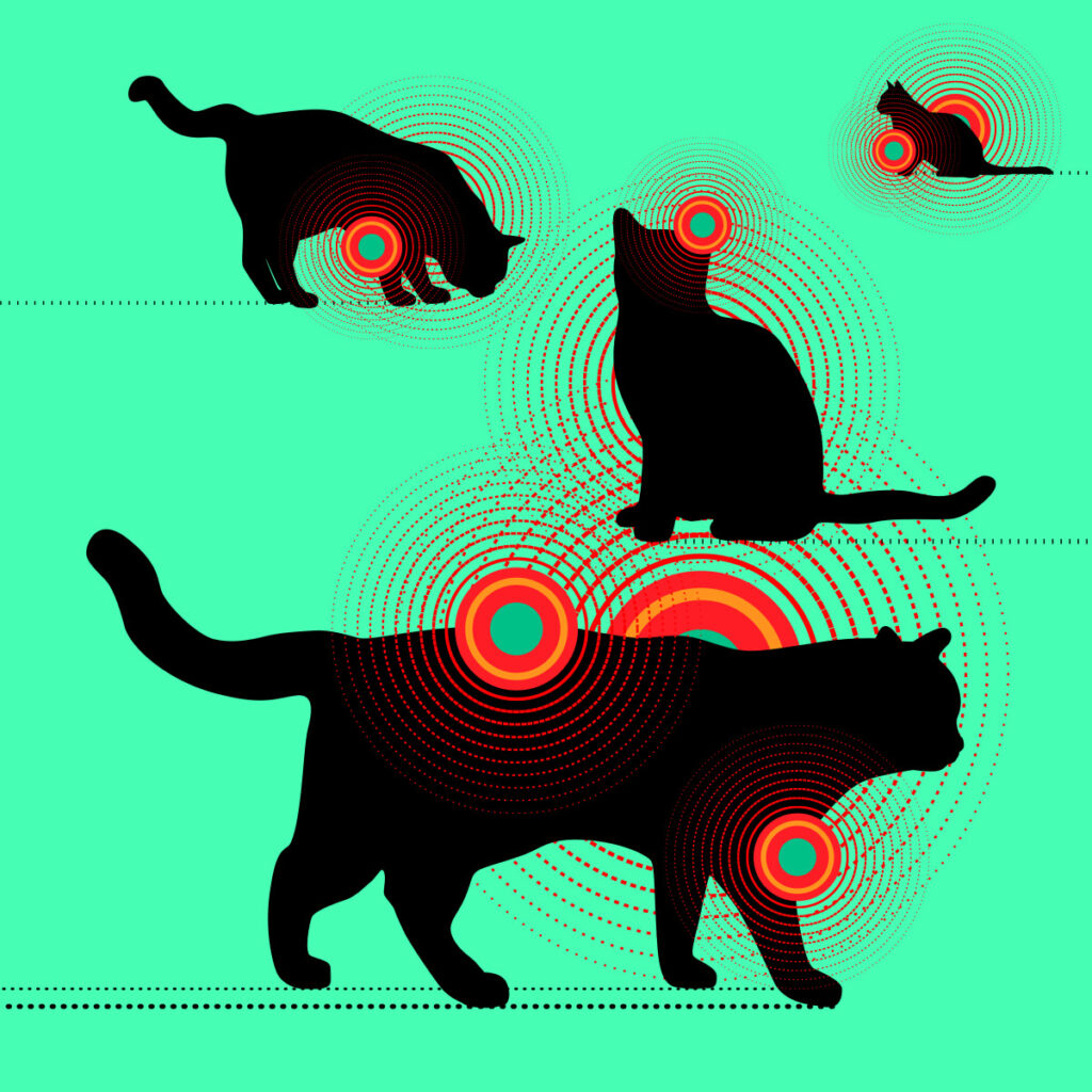 Illustration showing cats hide pain in multiple body locations - chronic pain points marked with red radiating circles.